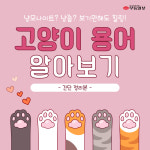 [카드뉴스] 냥빨? 냥모나이트? 재미있는 고양이 용어에 대해 알아보자