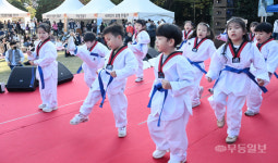 시선장악 귀요미들 태권 동작 시범