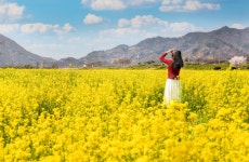 섬진강 길 따라 생동하는 봄 느껴요