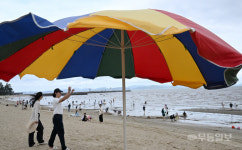 바다가 부른다, 보성 율포솔밭해변 해수욕장 개장