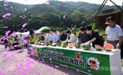 광주 동구 텃밭 수확체험 개장식