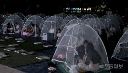 야밤의 모기장 속, 영화 속으로 빠져들다