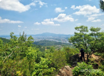 광주 어등산서 백골 발견...警 수사 착수