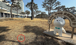 똥판 된 광주시청 야외광장...무슨 일