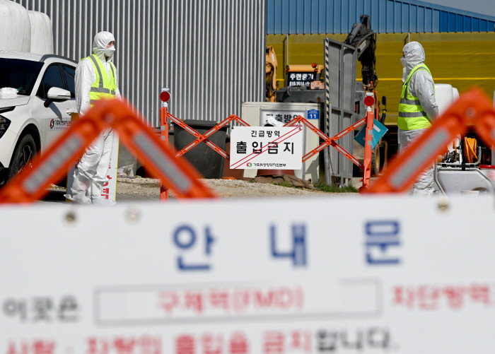 전남 구제역 확산, 농협과 지자체 총력대응으로 방역강화!