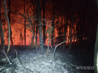 광주 제석산서 불···임야 3천㎡ 소실