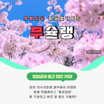 [무슐랭] 광주의 벚꽃 핫플 두번째, 쌍암공원