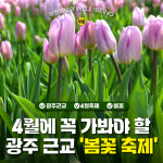 [무빙] 당장 이번 주 주말에 놀러 가자! 광주 근교 봄꽃 축제