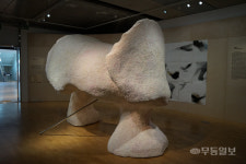 예술 통한 경계 넘기···우리의 몸에는 타인이 깃든다