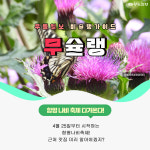 [무슐랭] 함평나비축제 즐기고 근처 맛집 가보자!