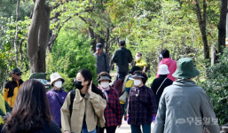 초록 우거진 산책길 힐링