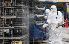 북구, 조류인플루엔자 예방 긴급방역