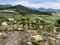 전원주택 꿈꾸던 여장부, 산자락에 1만평 비밀가든 일궈