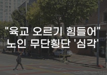 [무잇슈] 육교 있어도 4차선 무단횡단하는 광주 노인들···왜?