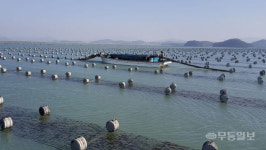 군청 과장이 돈 빌려 안갚는다···고흥 어민들 수십억대 피해 호소