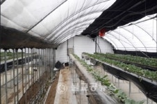 안동시, 농업에너지절감시설 지원