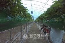 설 연휴 시설작물 관리 철저