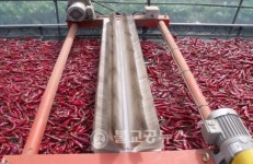 차별화된 청양고추 향토 산업 육성