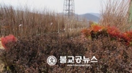 제15회 옥천묘목축제 29일부터