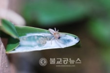 월드컵공원 1,092종 동식물 산다