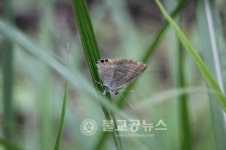 월드컵공원 1,092종 동식물 산다