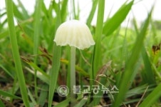 월드컵공원 1,092종 동식물 산다