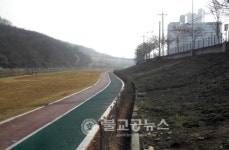 청양읍, 백세공원 구기자 길 확대 조성 실시