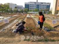주말농장 조성 주민화합의 장 마련