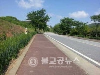 색다른 길! 장평면 도림로변 청보리 길 조성