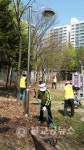 쌍용3동 노인회, 소공원 환경정비 활동