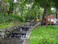 만수산자연휴양림, 야영장 개장