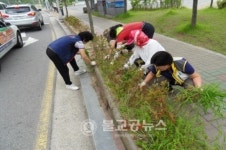성화개신죽림동 통장협의회 도로변 잡초제거