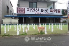 볼거리 풍성한 벽화로