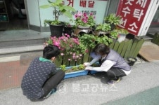 청주시,사직2동 호국로 봉선화 거리