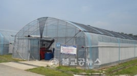 여름철 토마토 재배기술 나왔다