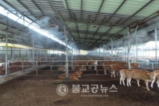 괴산군, 폭염피해 예방 가축관리 대책