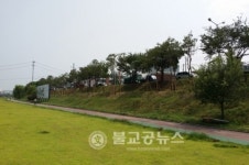 무심천변 소나무 숲 쉼터조성