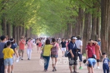 휴가철 담양관광은 내일로 타고