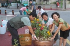 운천신봉동 주민자치위원회, 백일홍 식재