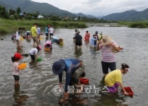 제7회 둔율 올갱이축제 성료