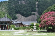 영동군, 반야사 사진찍기 좋은 명소로