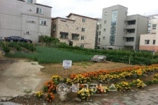 성화개신동 경로당 꽃밭 조성