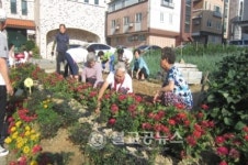 성화개신동 경로당 어르신 꽃밭 조성