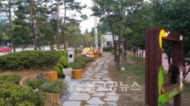 청주시, 명품 가로수길 조성 눈길