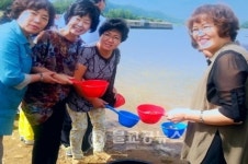 제천시 여협 청풍호살리기