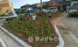 충주시 엄정면 생활개선회, 맨드라미 식재
