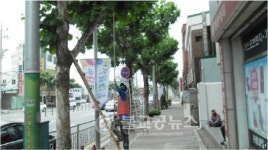 상당구, 추석맞이 가로환경 조성