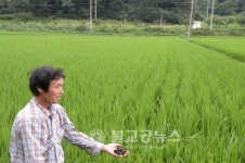 부여군, 고품질 친환경 쌀 생산