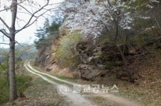 보은군, 속리산 둘레길 조성 1차사업