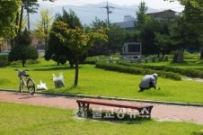 충주 한덕희씨 도서관 환경정비 봉사